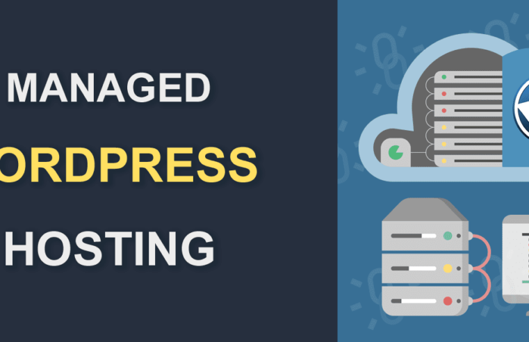Discover Various Types of Word Press Hosting to Help You Choose the Right One